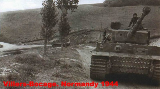 s.SS-Pz.Abt.101-camo223 (моноколь).jpg